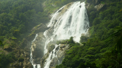 Dudhsagar Waterfalls – The Milky Water