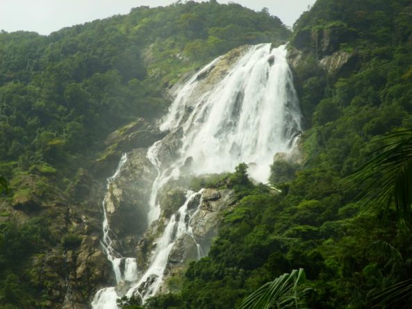 Dudhsagar Waterfalls – The Milky Water