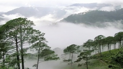 ARAKU VALLEY-FOOD BOWL OF SOUTH