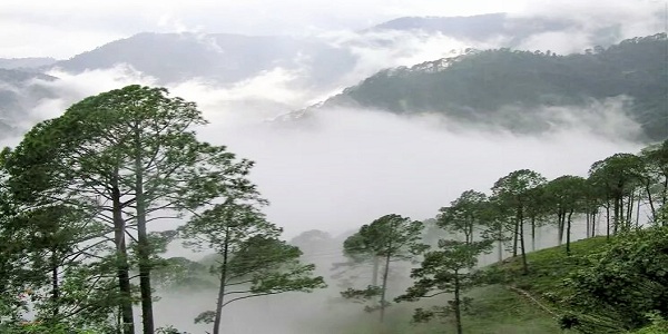 ARAKU VALLEY-FOOD BOWL OF SOUTH