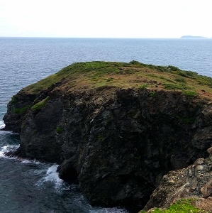 Chidiya Tapu