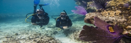 Scuba Diving in Andaman – The diving destination