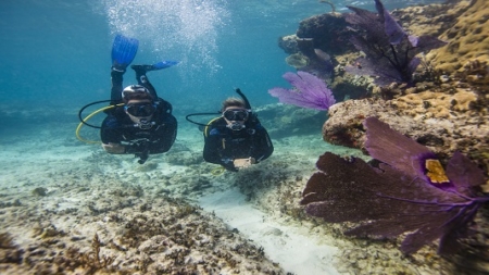 Scuba Diving in Andaman – The diving destination