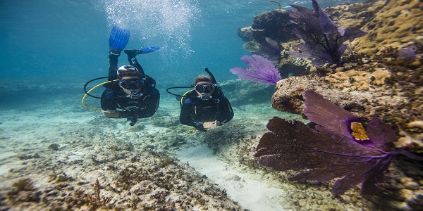Scuba Diving in Andaman – The diving destination