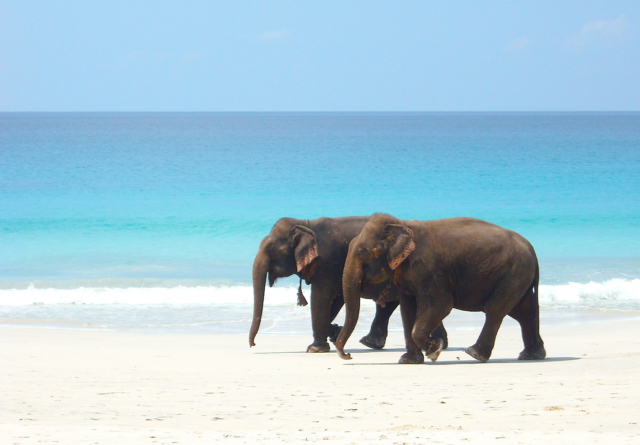 Andaman and Nicobar- Relish the most alluring beaches