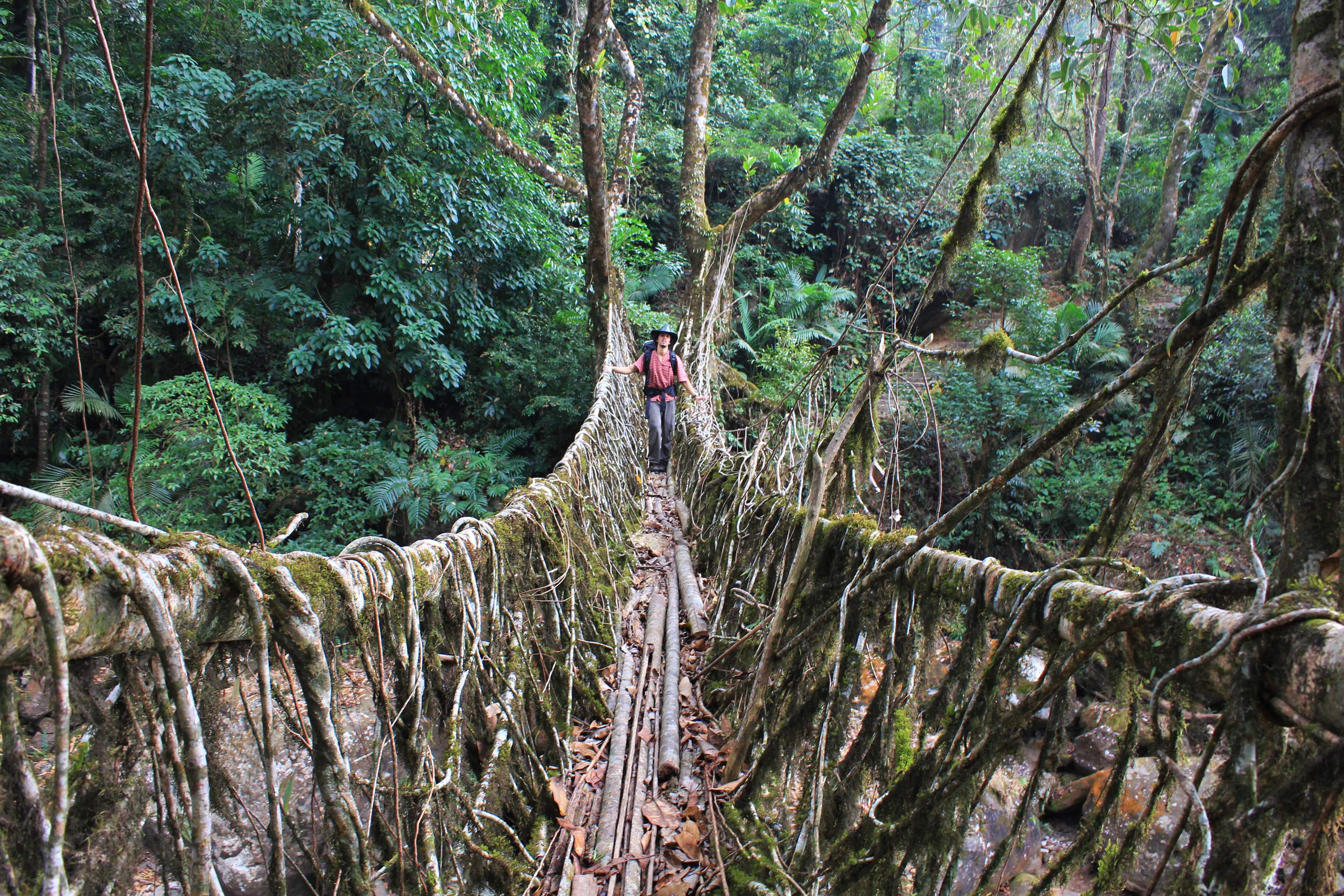 Meghalaya- Excursion to Home of Clouds