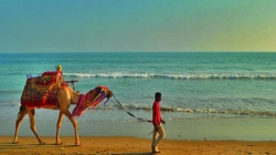 Puri Beach Festival a Mesmerizing Event