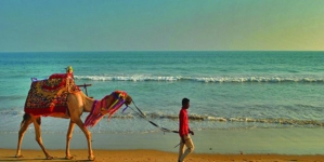 Puri Beach Festival a Mesmerizing Event