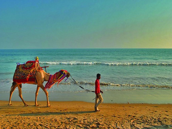 Puri Beach Festival a Mesmerizing Event