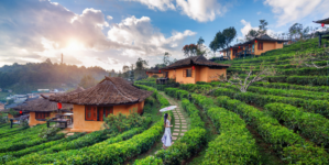 Discover the Beauty of Ooty: A Complete Travel Guide