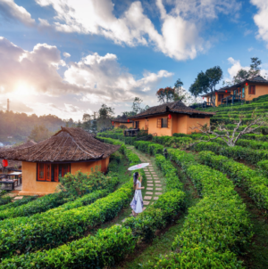 Discover the Beauty of Ooty: A Complete Travel Guide