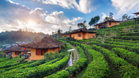 Discover the Beauty of Ooty: A Complete Travel Guide