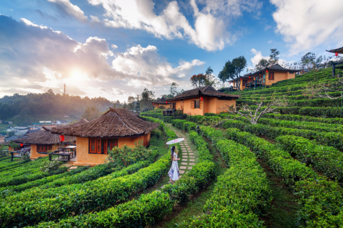 Discover the Beauty of Ooty: A Complete Travel Guide