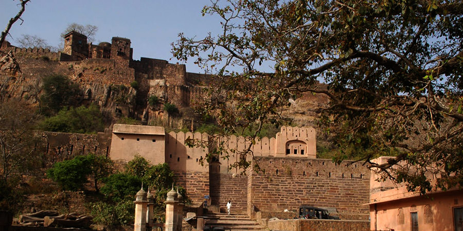 Ranthambore Fort: Where Ancient Royalty Meets Wild Adventures